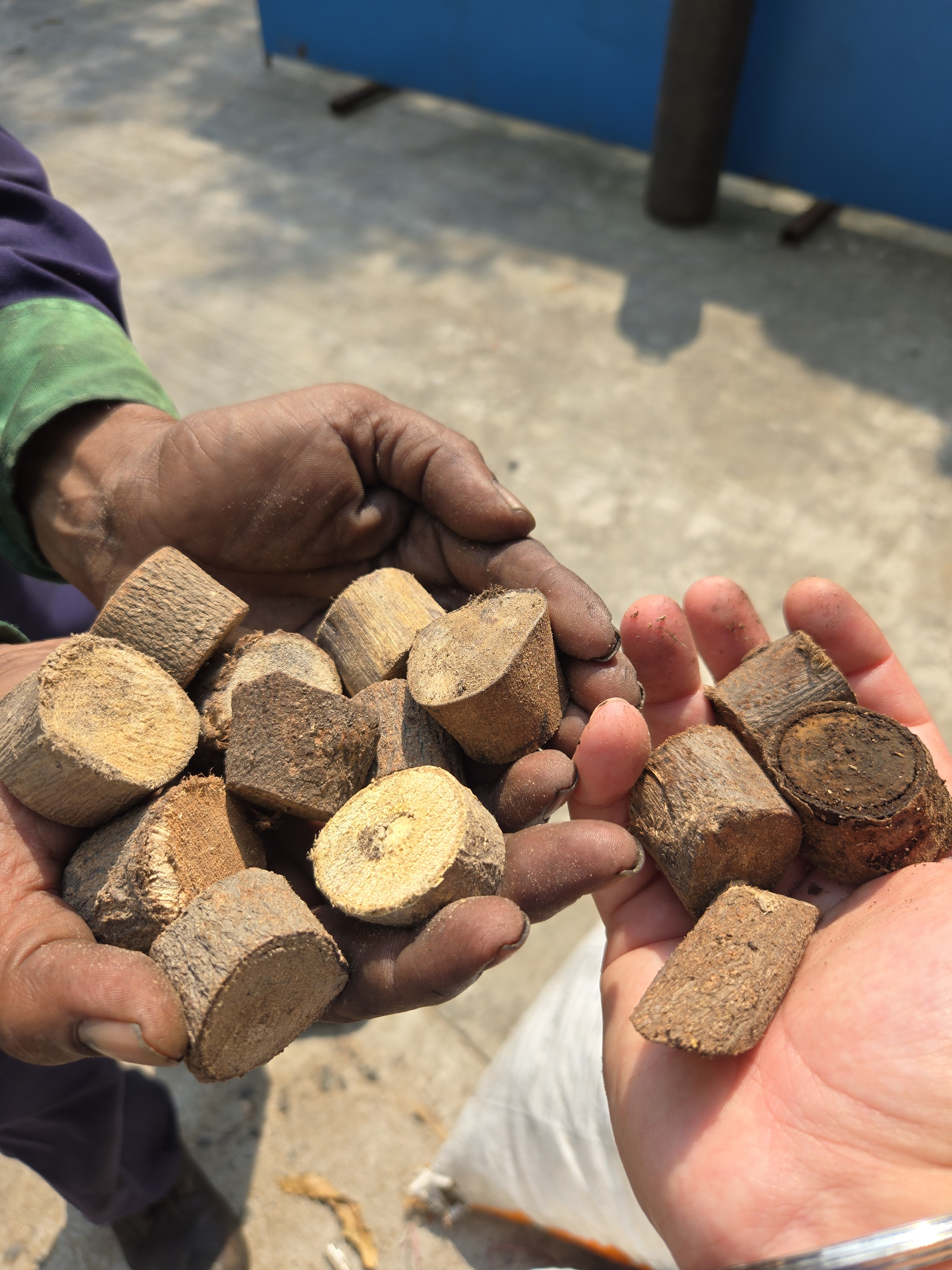 Chopped up woody biomass to be used as a feedstock for the gasifier.