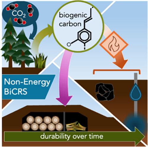 Image credit: Leah K. Clayton